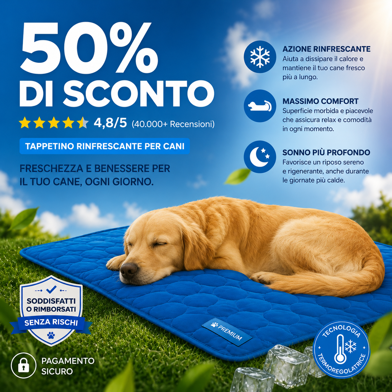 Quest'estate il tuo cane può finalmente smettere di cercare il fresco